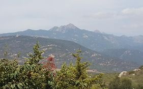 Macchie e Fiori